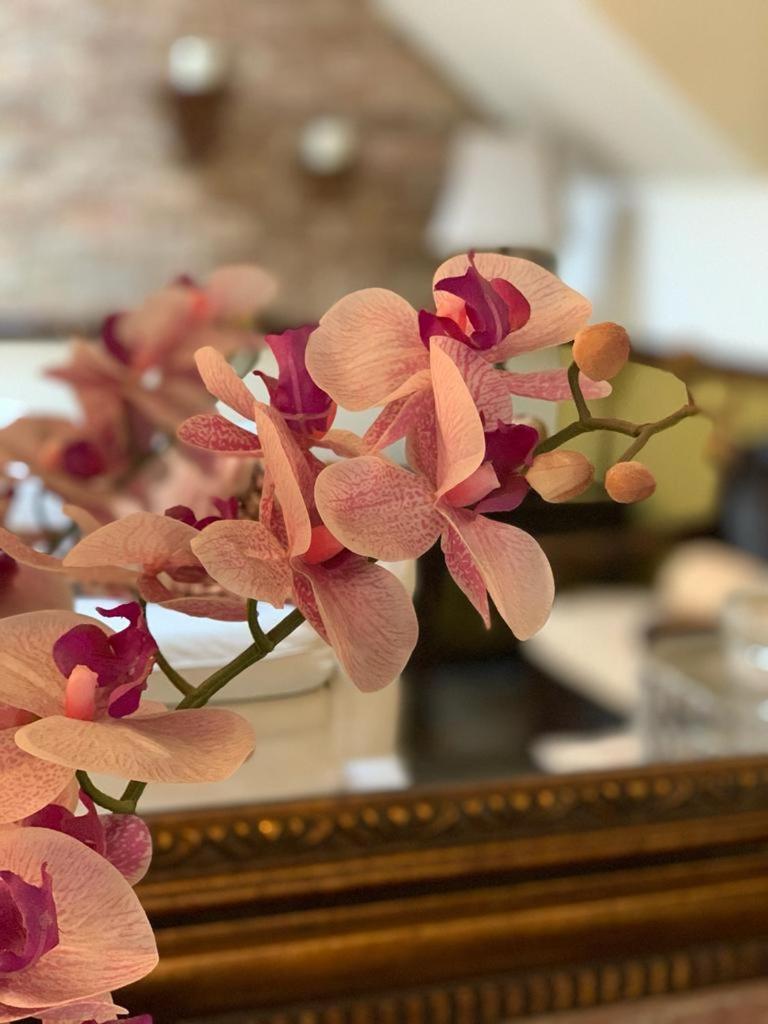 Hostal Villa Toscana Guatemalaváros Kültér fotó