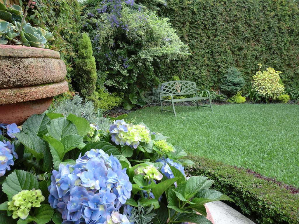 Hostal Villa Toscana Guatemalaváros Kültér fotó